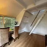 16 *